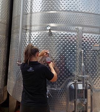 Degustação de vinhos premium