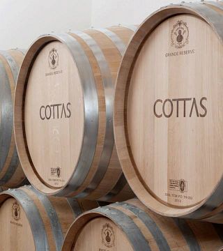 Tour e degustazione di vini a Quinta de Cottas