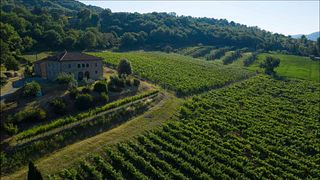 Cata de vinos y visita a la bodega Murogrosso