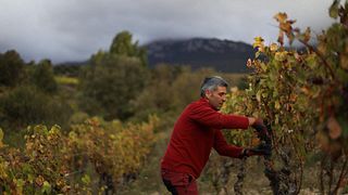 Degustação de vinhos e tour em Bodegas Bhilar