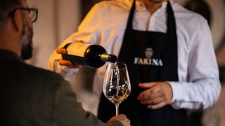 Farina Wines