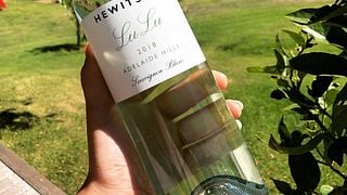 Premium vinprovning på Hewitson