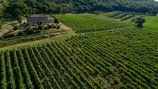 Murogrosso Winery