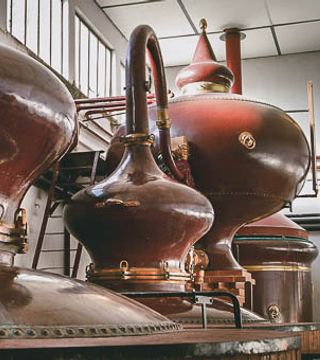 Dégustation de Cognac et visite classique chez Cognac Bertrand
