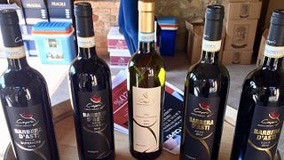 Piedmont Wine & Vineyard Journey at Tenuta Capri