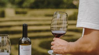 Vinprovningsupplevelse på slottet Monte Vibiano