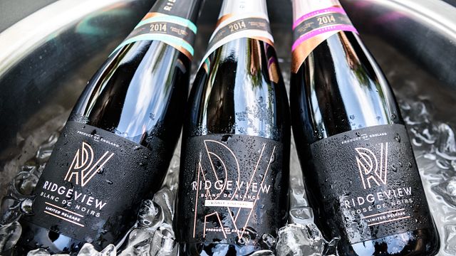 Uma degustação de vinhos da Ridgeview