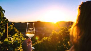 Cata de vinos y visita guiada a Weinmanufaktur Gengenbach-Offenburg