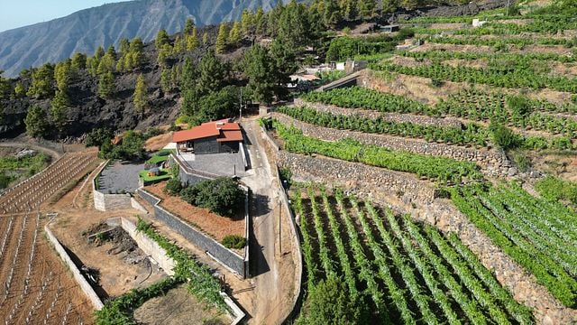 Bodegas Ferrera