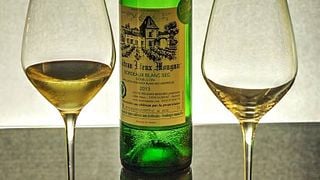 Degustazione e tour di 3 vini biologici allo Château Vieux Mougnac