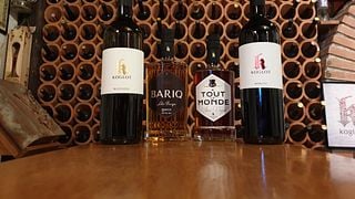 Podravska Wine & Vineyard Escape at Vina Koglot