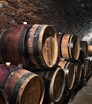 Biodynamic Wine Journey at Wassmann