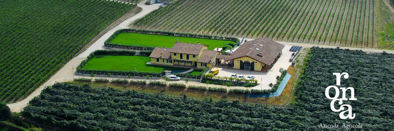Cantina-ronca-vini-del-garda