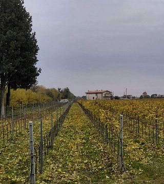 Dégustation de vins et visite à l'Azienda Agricola Fiorotto