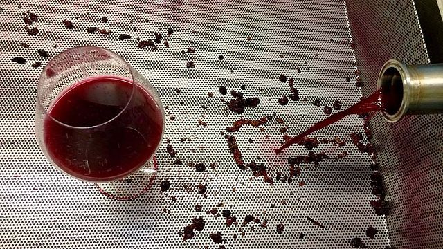 Visita alla Tenuta dei Vini d'Argento