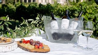 Degustação de Vinhos e Queijos Artesanais DOP