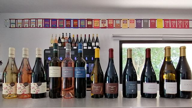 Degustação de vinhos e tour no Château Beaubois