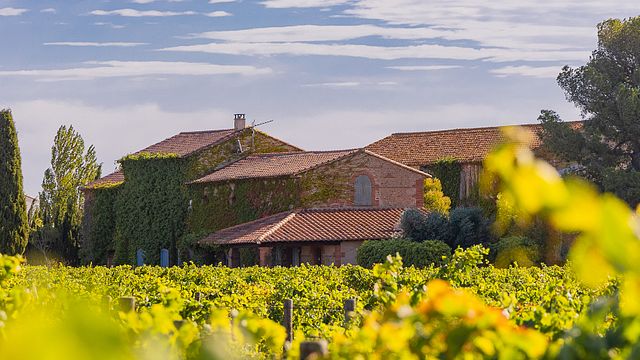 Mas Baux Winery