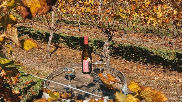 The Hunting Lodge Winery
