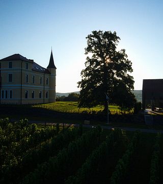 Visite et dégustation de vins chez Marof