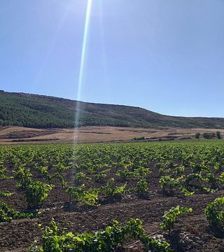Degustazione di vini e visita alla Bodega Inurrieta