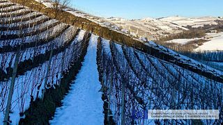 Weinprobe und Tour bei Garesio