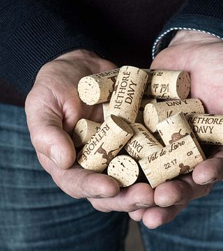 Degustazione di vini e tour a Vignoble Réthoré Davy