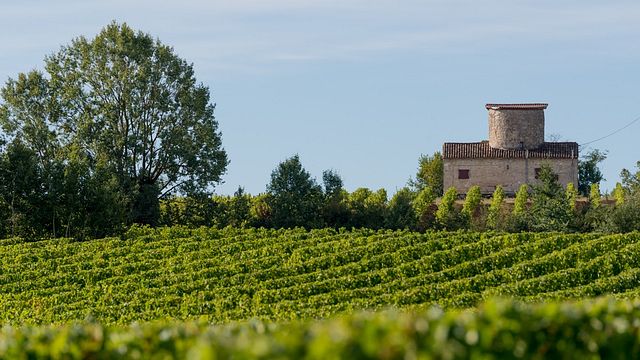 Domaine de Perreau