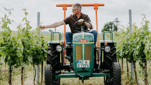Vinprovning och källartur på Weingut Galler