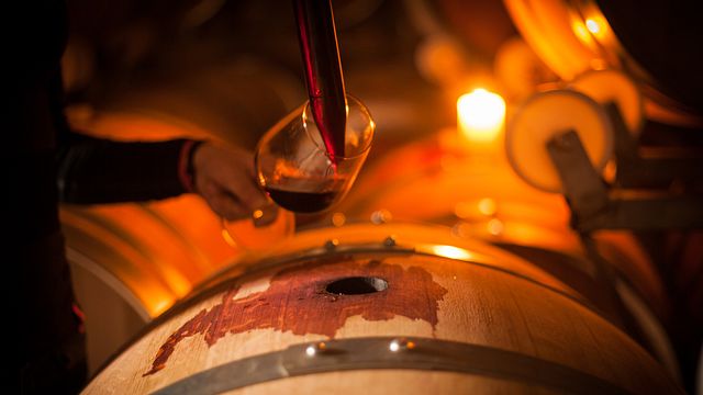 Valpolicella-Weinprobe und Tour im La Guaite Di Noemi