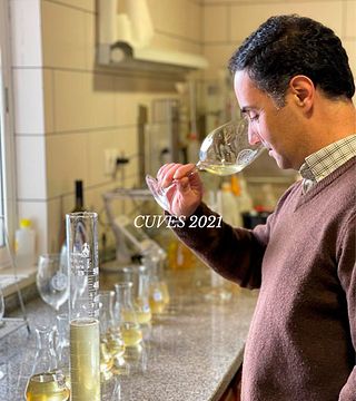 Winery Tour & Monovarietal Tasting at Quinta da Plansel