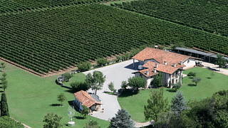 Friuli Wine & Vineyard Journey: Tasting Tour