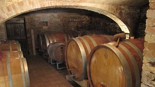 Degustação de vinhos e tour em Le Cecche