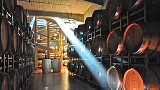 Première impression : visite de la cave à vin et dégustation de vin au domaine Lacerta