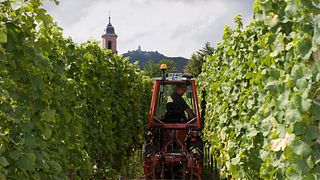 Domaine Bleger