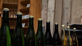 Cata de vinos y tour en Wijndomein Helshoven