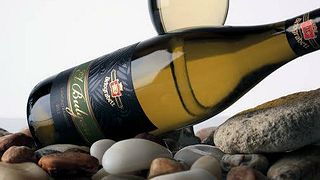 Dégustation de trois vins et visite à Belogradec-Varna
