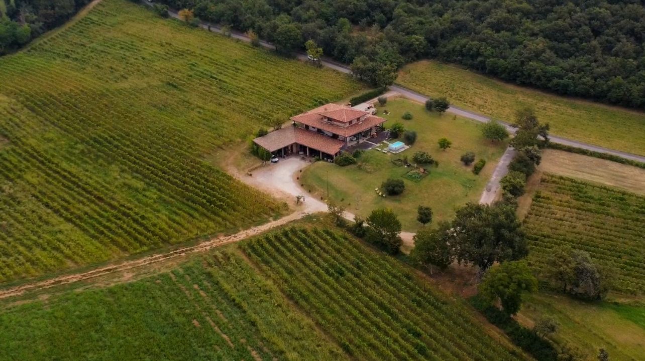Cantina Pietta