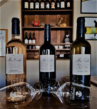 Mas Carlot Winery