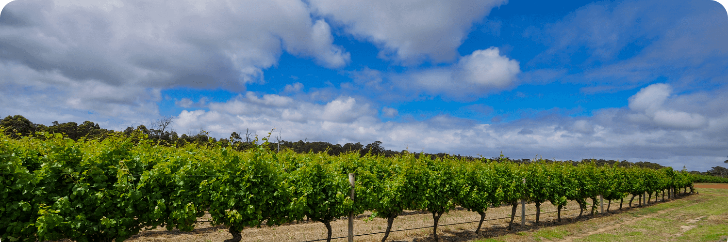 Margaret River