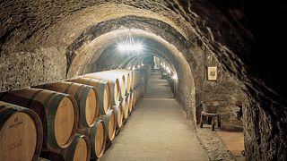 Cata y visita de vinos en Bodegas Ismael Arroyo-Valsotillo