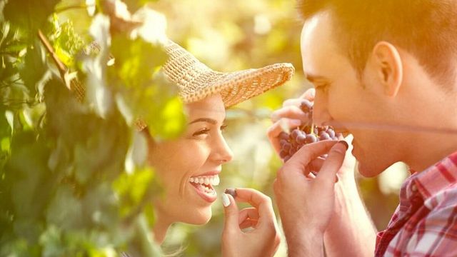 Une journée de visite des vins à Kakhétie