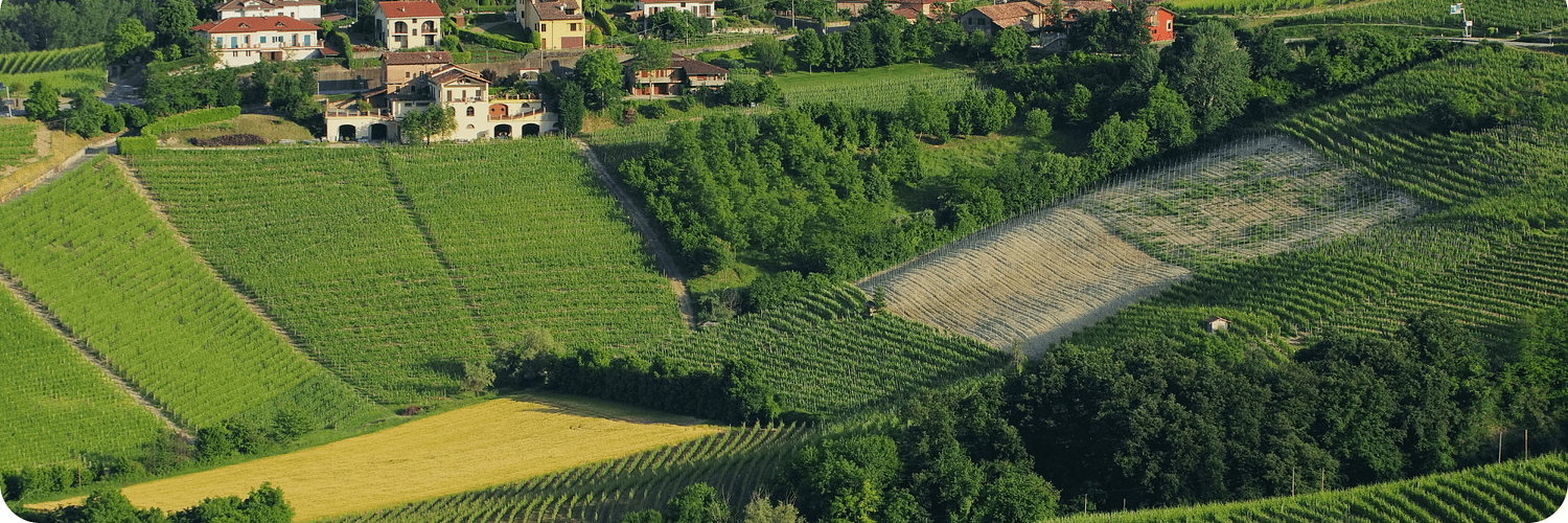 Barolo
