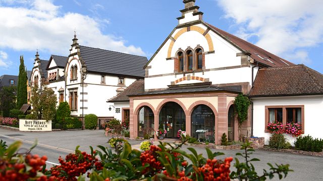 Degustazione di vini e visita al Domaine Bott Frères
