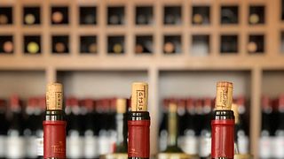 Weinprobe von 3 Sorten und Führung durch das Weingut und den Keller