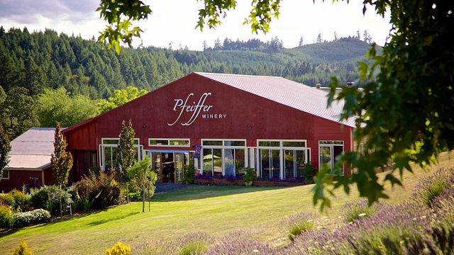 Weinprobe und Führung bei Pfeiffer Wines
