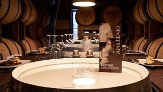 Negroamaro Experience på Apollonio 1870 Winery