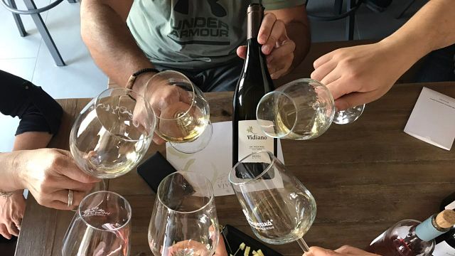 Degustazione di vini e tour presso l'azienda vinicola Idaia