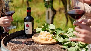 Führung und komplette Weinprobe bei La Veneranda