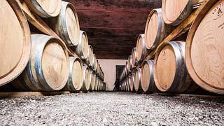 Dégustation de vins et visite à l'Azienda Agricola F.lli Massucco